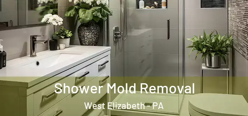  Shower Mold Removal West Elizabeth - PA