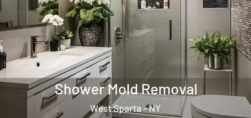  Shower Mold Removal West Sparta - NY