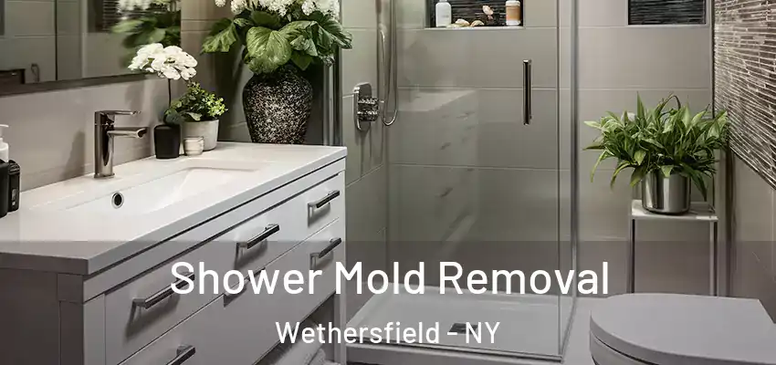  Shower Mold Removal Wethersfield - NY
