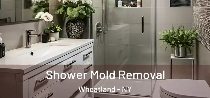  Shower Mold Removal Wheatland - NY