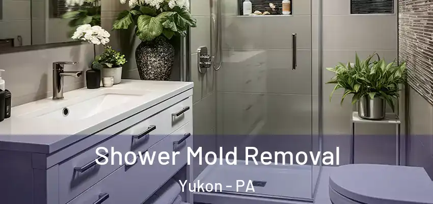  Shower Mold Removal Yukon - PA